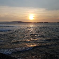 プチ遠征の釣果!