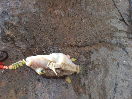 ライトロックゲーム