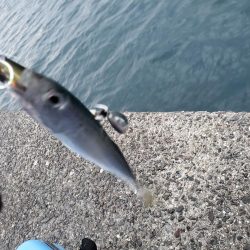 台風前の一文字に