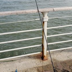 良型アジゲット