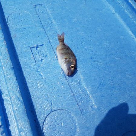 お盆休み最後の釣行