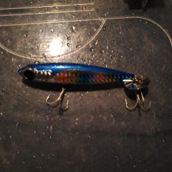 写真ぶれてすみません。