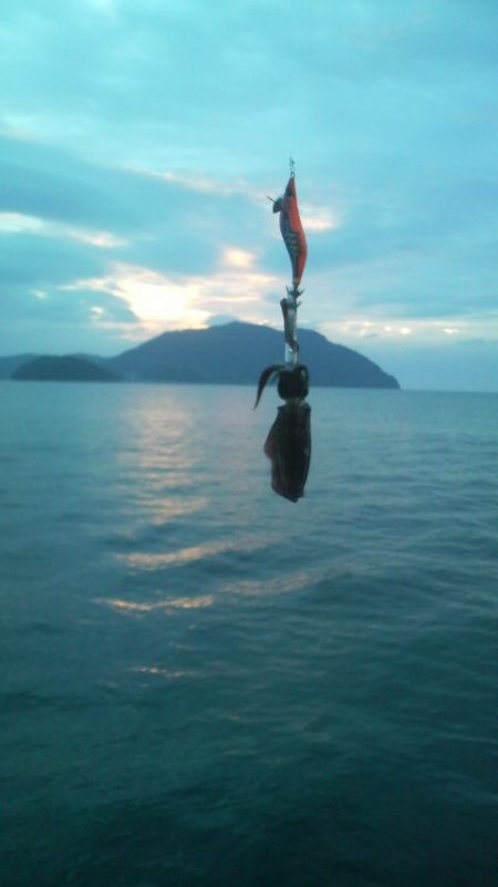 秋イカ初陣の巻