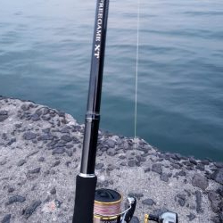 モニターのテスト