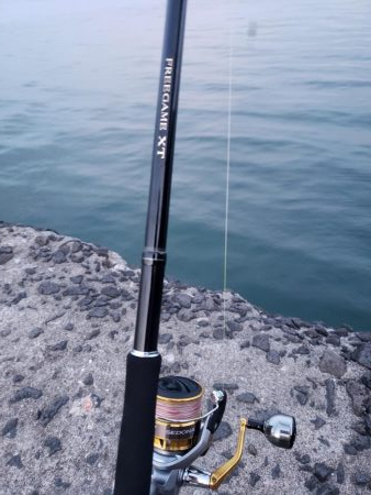 モニターのテスト