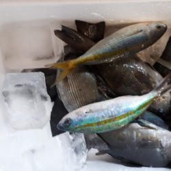 サビキでの投げ釣り！　但し、暑い！！　水分補給は必須ですね！