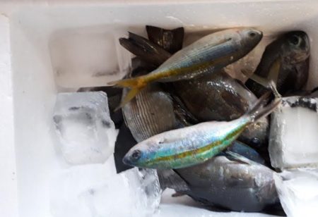 サビキでの投げ釣り！　但し、暑い！！　水分補給は必須ですね！