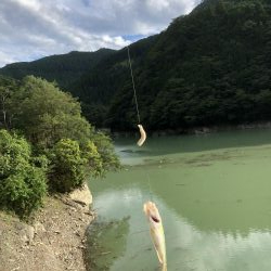 活性良くなったー