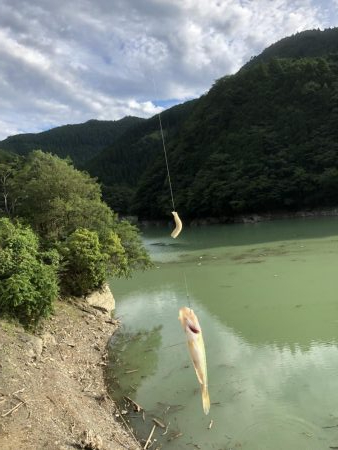 活性良くなったー