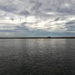 子供とサビキ☆