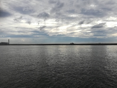 子供とサビキ☆