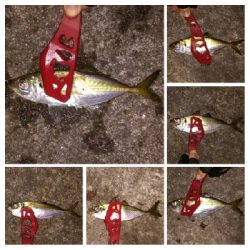 アジンガー1910〜2130