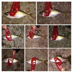 アジンガー1910〜2130