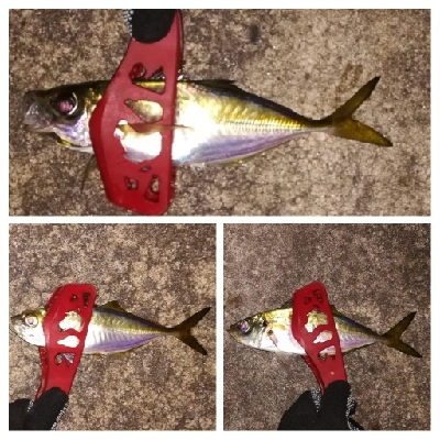 アジンガー1900〜1940 2110〜2150