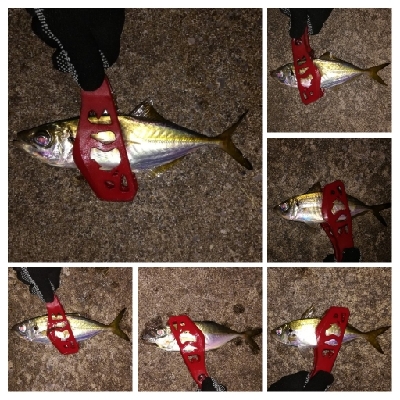 アジンガー1900〜2032