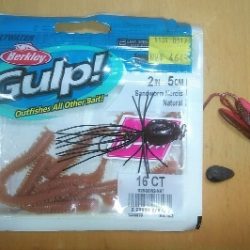 ナイトチニング　何とかボウズ逃れ