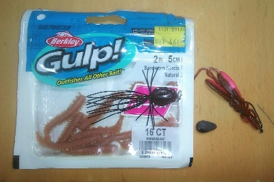 ナイトチニング　何とかボウズ逃れ