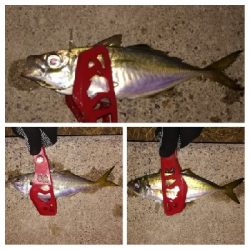 アジンガー1855〜1930 2105〜2140