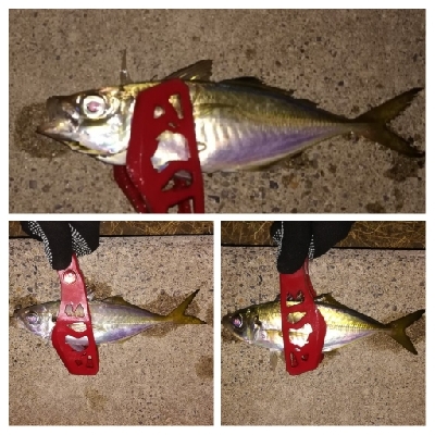 アジンガー1855〜1930 2105〜2140