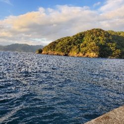 台風前の釣果!!