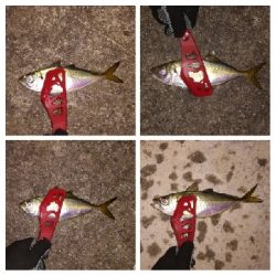 アジンガー1900〜1930 2105〜2140