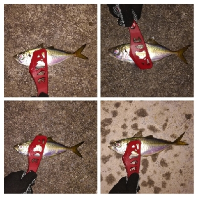 アジンガー1900〜1930 2105〜2140