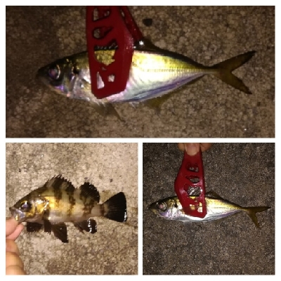 アジンガー1900〜1931 2105〜2141