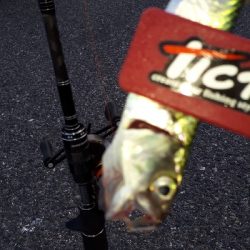 おかっぱりからのディアジング