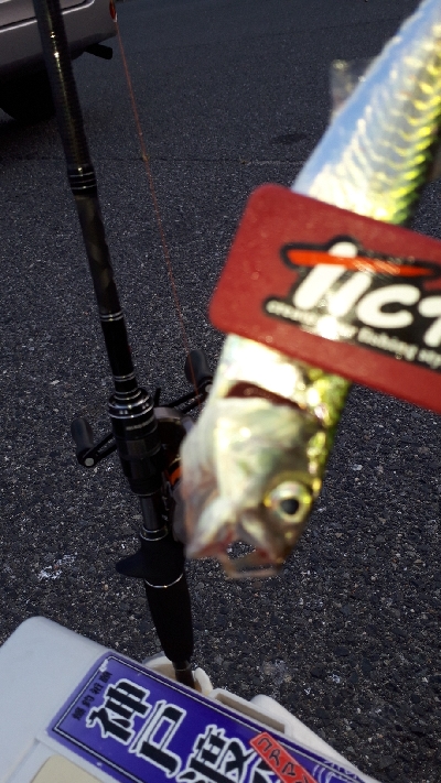 おかっぱりからのディアジング