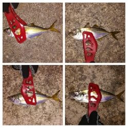 アジンガー1800〜2010