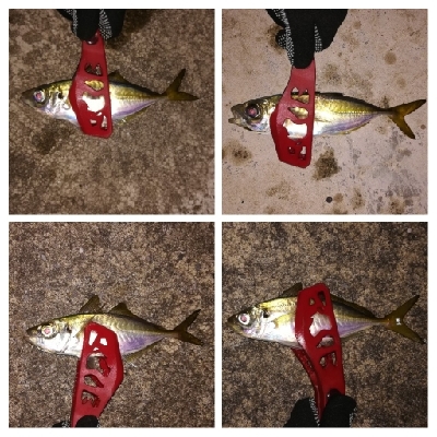 アジンガー1840〜1950