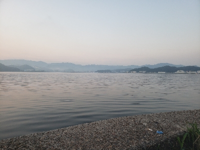 今日もコヤツか⁉️