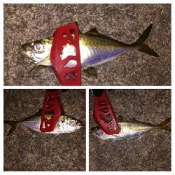 アジンガー1715〜1930