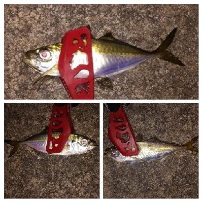 アジンガー1715〜1930