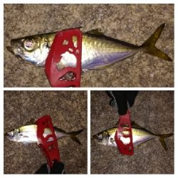 アジンガー1840〜1920