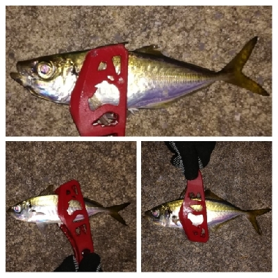 アジンガー1840〜1920