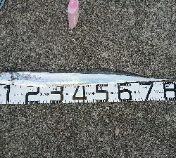 水軒へ刀狩り!!