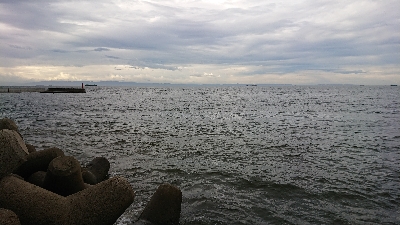 強風の中ツバス