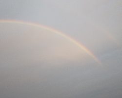 台風後不調からのラッキーパンチ!