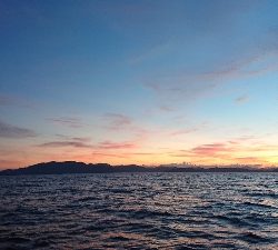 同期とイカメタル