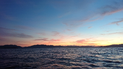 同期とイカメタル