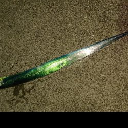 今シーズン初。