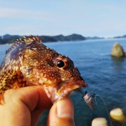 ちっぽけぽっけ