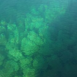 朝イチどっかーん(  ＾∀＾)