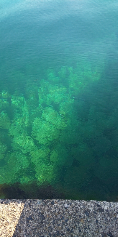 朝イチどっかーん(  ＾∀＾)