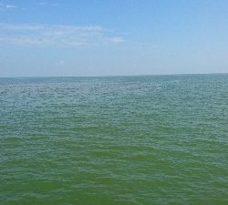 激渋の鈴鹿サーフでなんとかマゴチをゲット