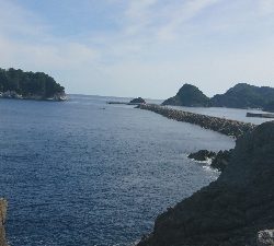 朝は涼しいです