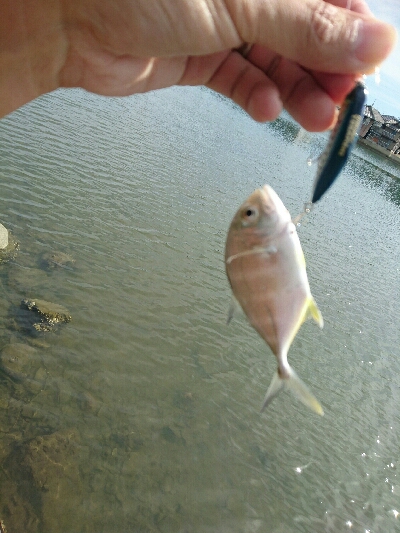 1ｹ月ぶりの釣行