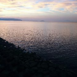 ランカー弱78センチ❗ゲット!!