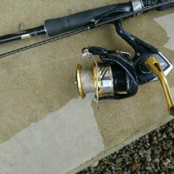 朝マズメ爆釣!!16本カマスゲット!!